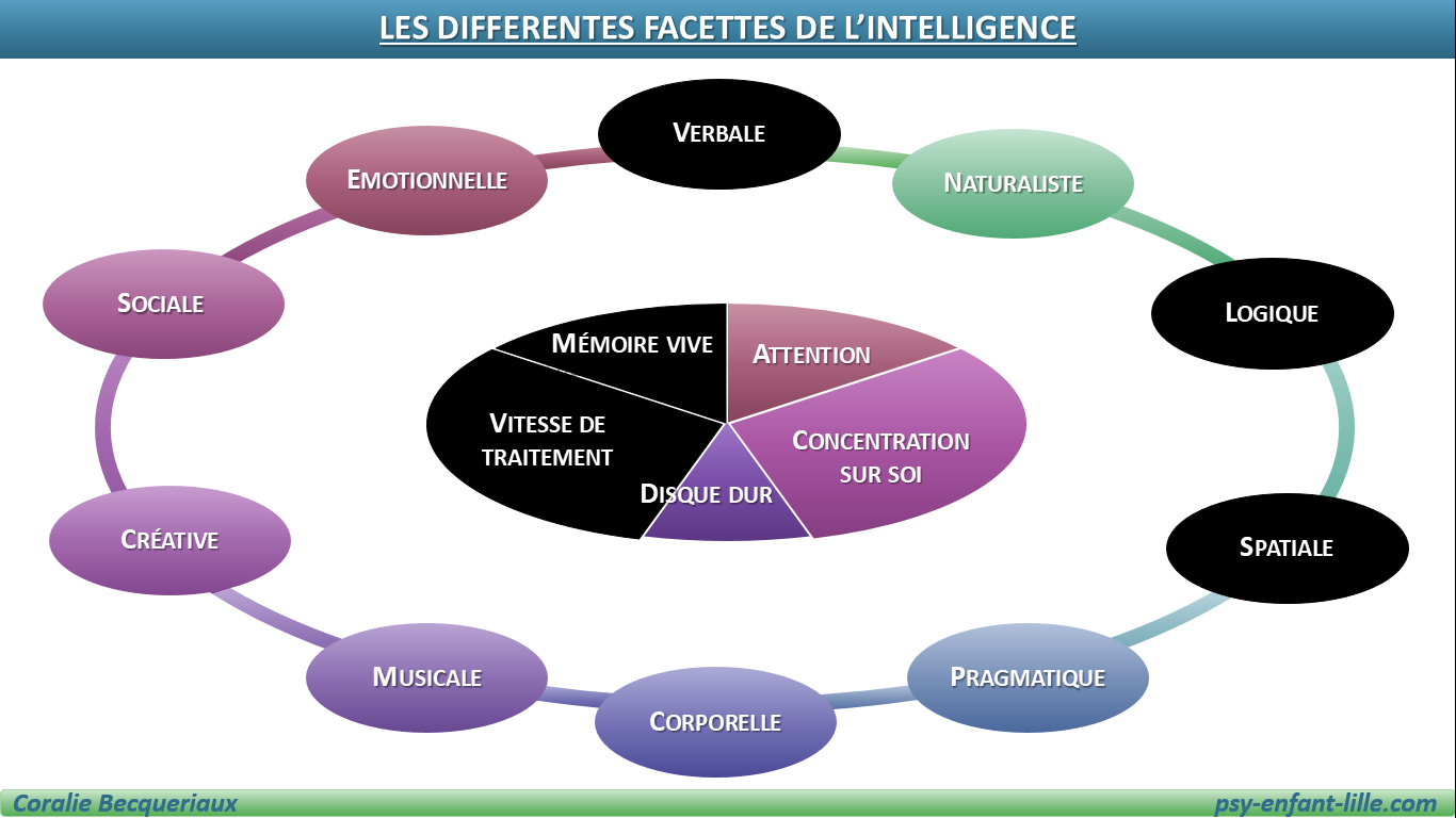 les facettes de l'intelligence mesurée par les tests de QI