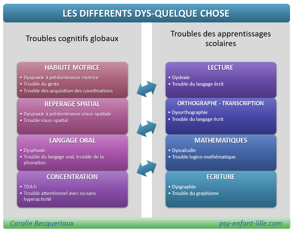 les différents dys